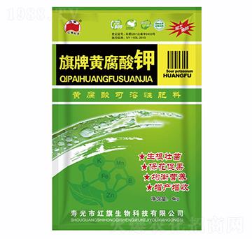 4kg�����S�����-�t������