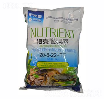 ���������20-8-22+TE-��������