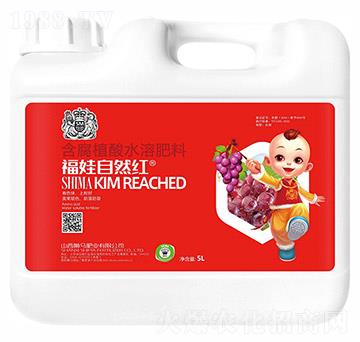 ������Ȼ�t5kg-�{�R�ʘI(y��)