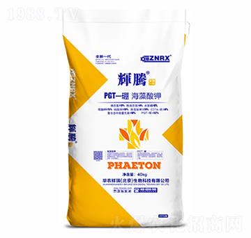 �������-���x�v-�A�r(n��ng)����