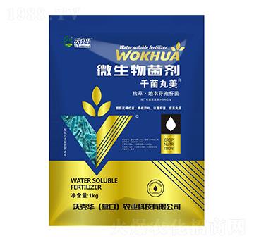 ΢�������-ǧ������-�ֿ��A