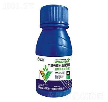 ����Ԫ��ˮ�ܷ�-ֲ������������-�ֿ��A