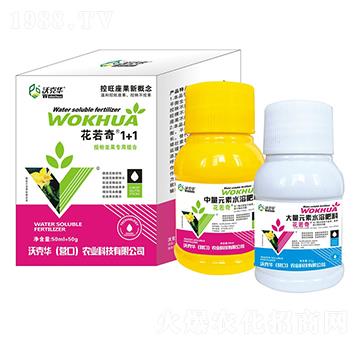 �ڷ��������ýM��-������1+1-�ֿ��A