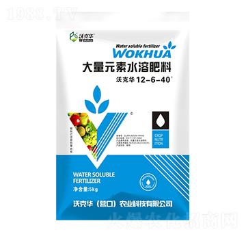 ����Ԫ��ˮ�ܷ�12-6-40-�ֿ��A