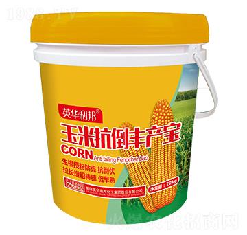 ���׿����S�a(ch��n)��-��˴ֲ��