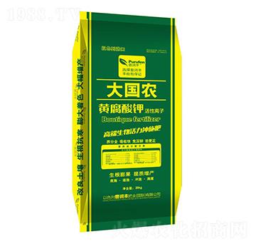 ����r(n��ng)�S�����-�՝��S