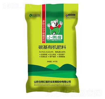 ̼���ЙC����-С���i-ס�̺긣