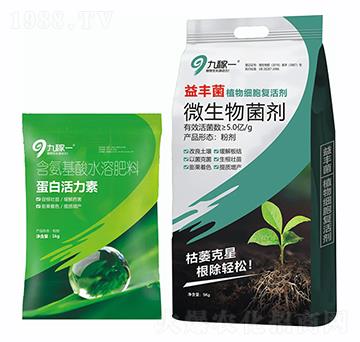 ���׻�����-�ż�һ