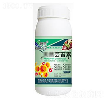 �|̦��-�G��-��ʿ�R��