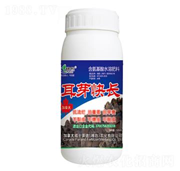 ��ѿ���L(zh��ng)-�G��-��ʿ�R��