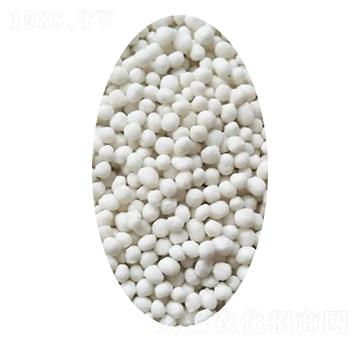 �ͺϷ����w��-�Kʢ�r�Y