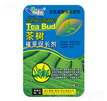 ����ѿ���L��-�G��-��ʿ�R��