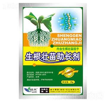 �����������L��-�G��-��ʿ�R��