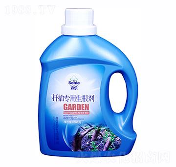 Ǥ�匣��������-ɭ��-�����r(n��ng)��