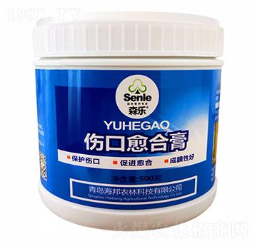 �������ϸ�-ɭ��-�����r(n��ng)��