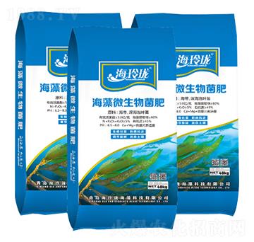 ����΢�������-���ᭇ