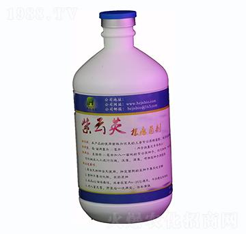 500ml����Ӣ��������Һ�w-�A��(chu��ng)���r