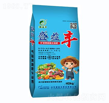 ʢ���Sˮ�ܷ�-ʢ���S