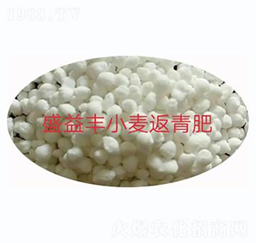 ʢ���SС�������-ʢ���S