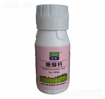 �Ǵ��}-�´�����