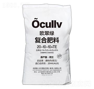 ������͏ͺϷ���20-10-10+TE-�W��G-�к̇��H