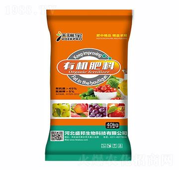 �ЙC(j��)����-������-ʢ������