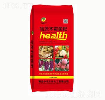 ����ľø����-(li��n)�_�S-���r(n��ng)����