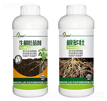 �������焩-���w�~��