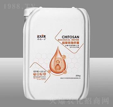 �ݲ�ѿ�ߗU��-���һ��-���r(n��ng)���