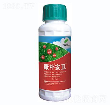 �~���-���㰲�l(w��i)-���A����