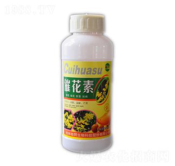 500ml�߻���-���_����