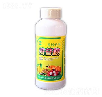 500ml���䌣�ú�����-���_����