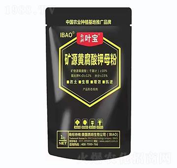 �VԴ�S�����ĸ��-���~ֲ��