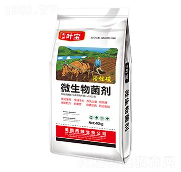 ΢�������-���~ֲ��