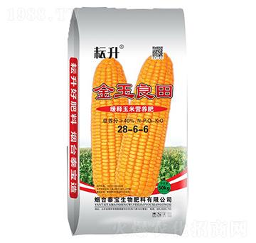 ������נI(y��ng)�B(y��ng)��28-6-6-��������-̩������