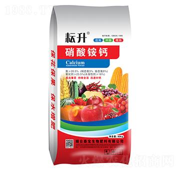 �����@�}-̩������