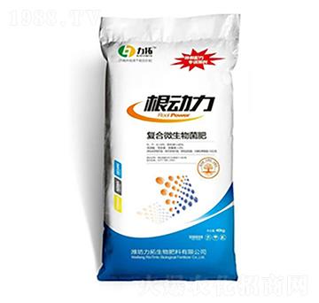 �ͺ�΢�������-������-��������