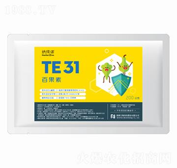 TE31�ٹ���-�·�����