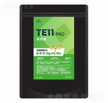 TE11PRO�~Ч��-�·�����