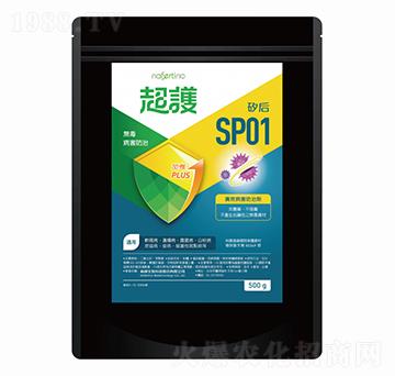 ��Ч�������΄�-���o(h��)SP01-�·�����