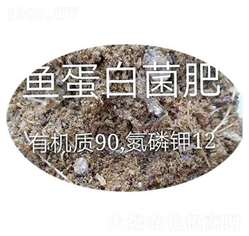 �~�⵰�׾���-������