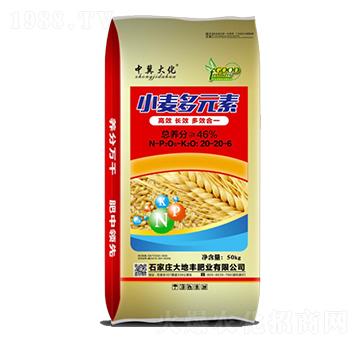 С����Ԫ��20-20-6-����S