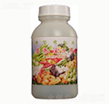 �I(y��ng)�B(y��ng)��5̖(h��o)-�n����