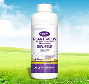 ��(x��)��������-������