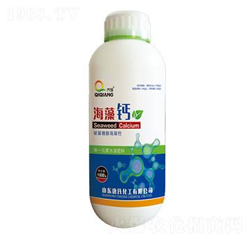 1000g�����}-���ϻ���