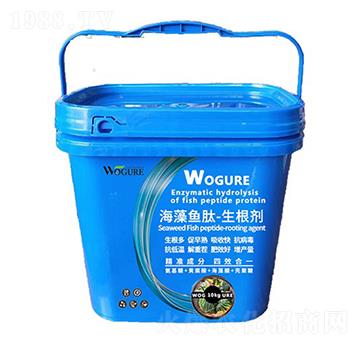 �����~(y��)��-������-�ָ���