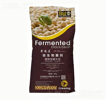 ΢�������-���\(y��n)��-���ϻ���