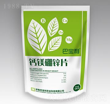 �����}�V���\Ƭ-�͌����r