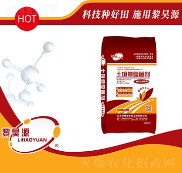 �A���������������ޏ�(f��)����-���Դ