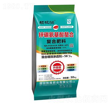 �ͺϷ���26-8-9-�T��56-��չ��